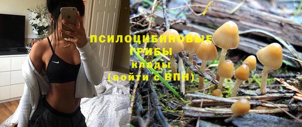 не бодяженный Алзамай