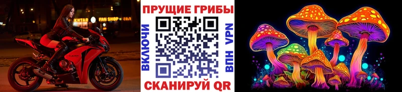 Псилоцибиновые грибы мицелий  Иннополис 